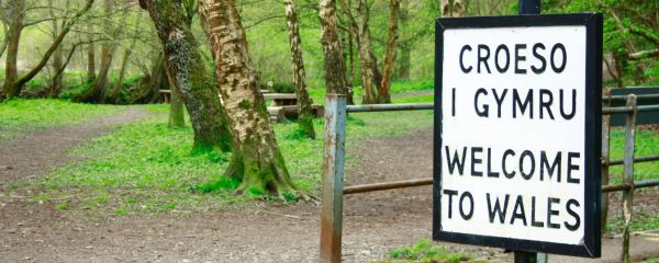 A rectangular roadside-style sign stands on the right side of the image at the entrance to a woodland path. The sign has a white background with bold black uppercase lettering. The top half reads “CROESO I GYMRU” in Welsh, and the lower half reads “WELCOME TO WALES” in English. The sign is mounted on two dark metal posts beside a simple metal gate. Behind it is a woodland scene with tall, thin trees, lush green spring foliage, and a dirt footpath curving into the forest. Picnic benches are partially visible